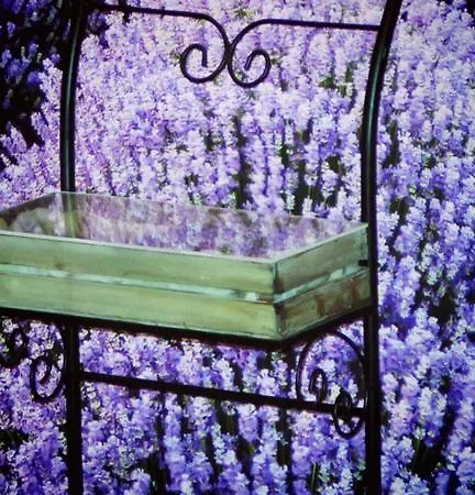 Hotel Piccolo Muralto