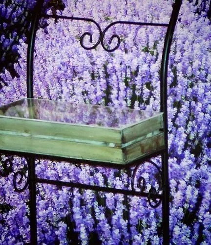 ホテル ピッコロ Muralto