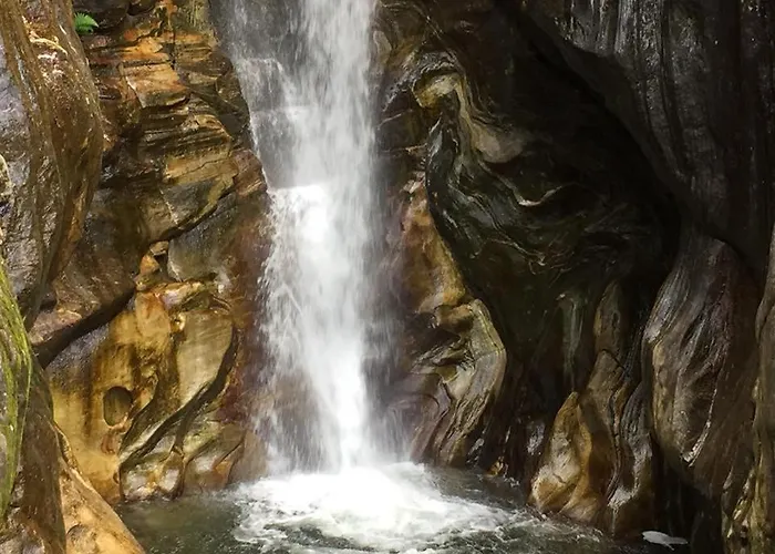 ピッコロ Muralto