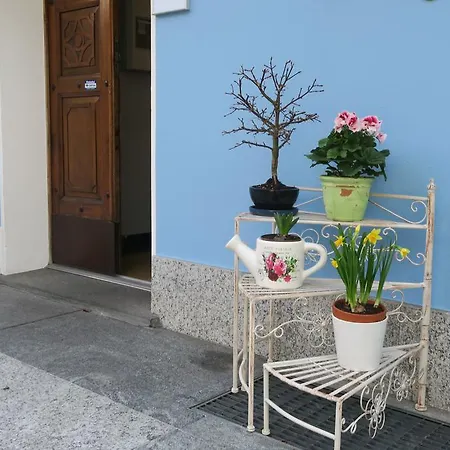 Otel Piccolo 3*